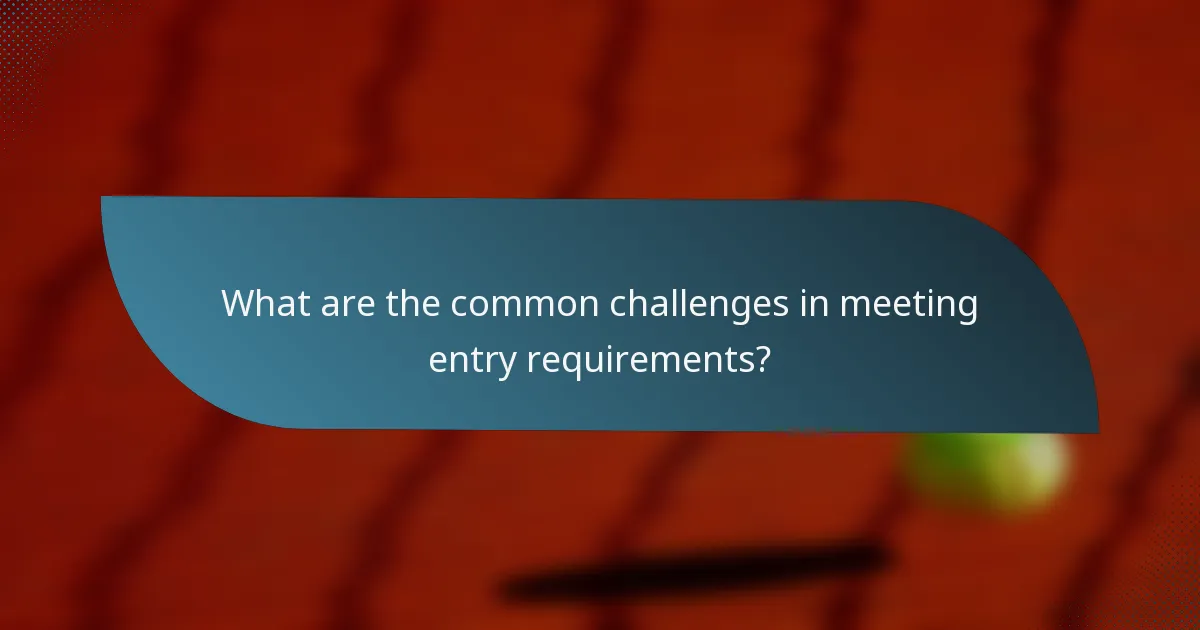 What are the common challenges in meeting entry requirements?